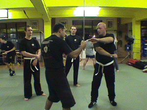 kaliflavioluc.gif