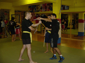 kaliflaviotim.gif